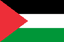 Palestine Flag